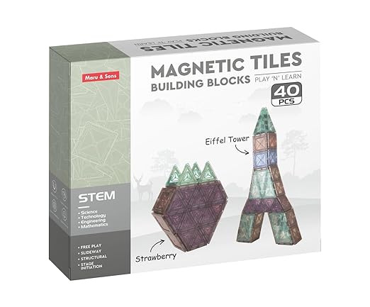 Magnetic Game